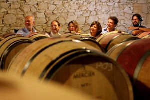 Actividad - Excursión de un día a Chambord y Chenonceau