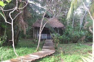 Alojamiento - Reserva Natural Heliconia