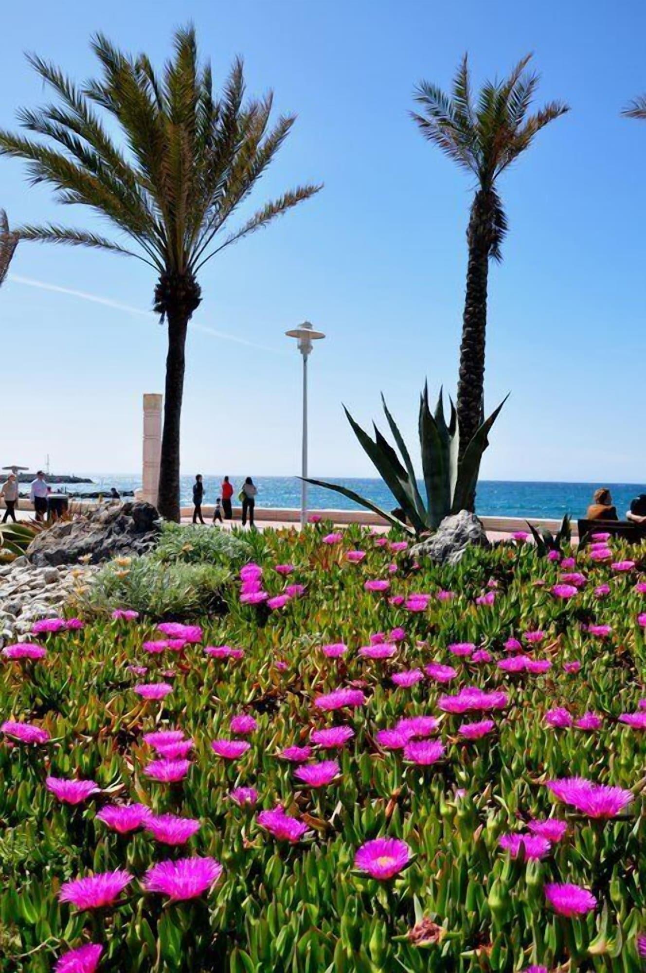 Playa Hotel La Perla