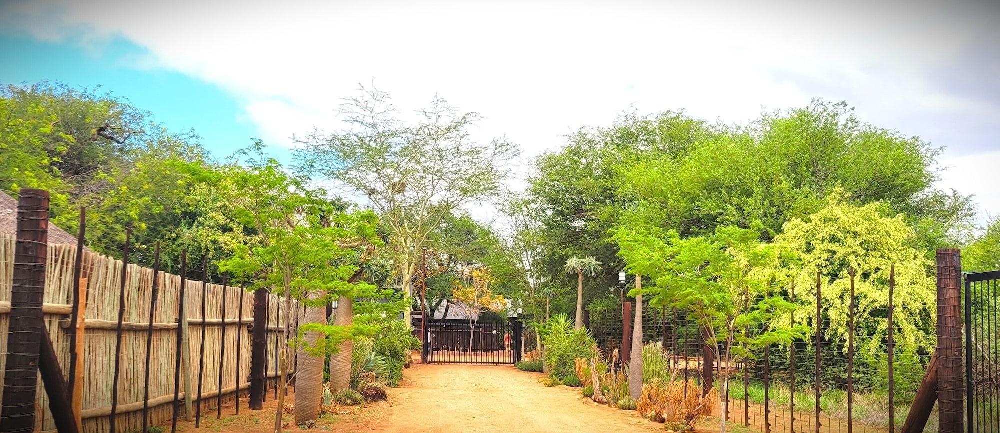 Vista Exterior VIVO LODGE