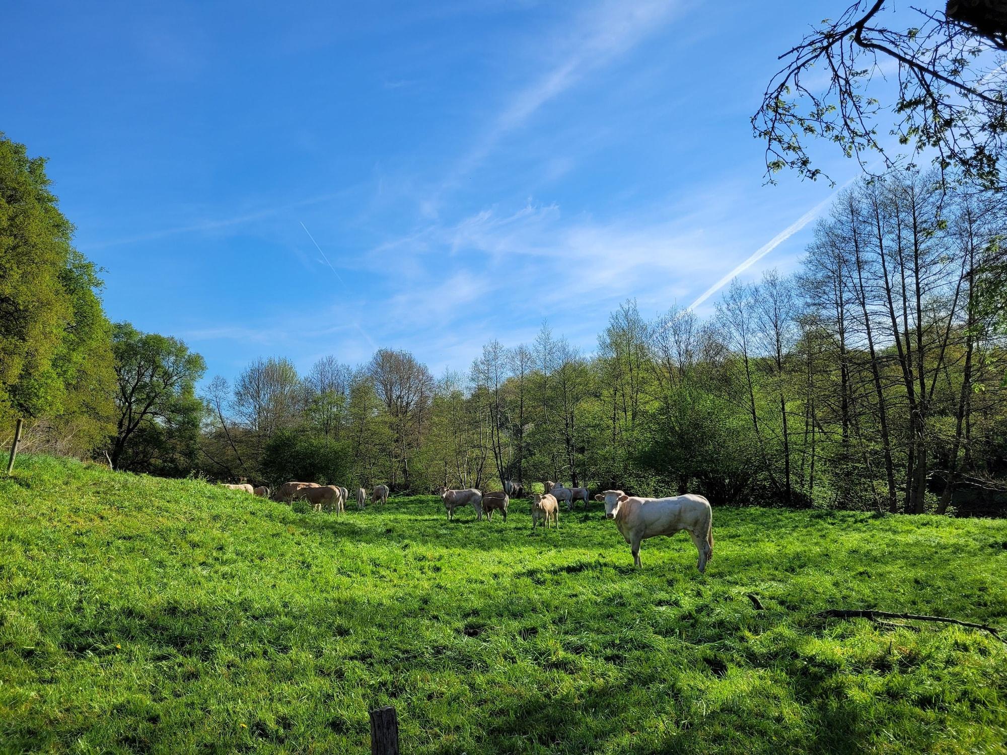 Vista Exterior Moulin de Drapras