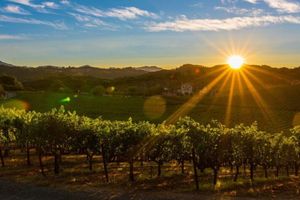 Alquiler Vacacional - Romantic Luxury 3-BR Modern Farmhouse with EVERYTHING... In Charming Yountville