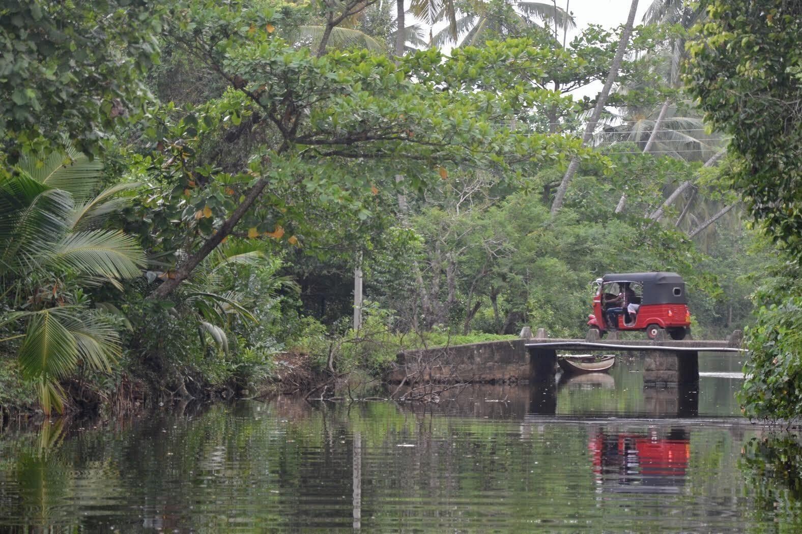 Instalaciones Recreativas BoBo's Bed & Breakfast