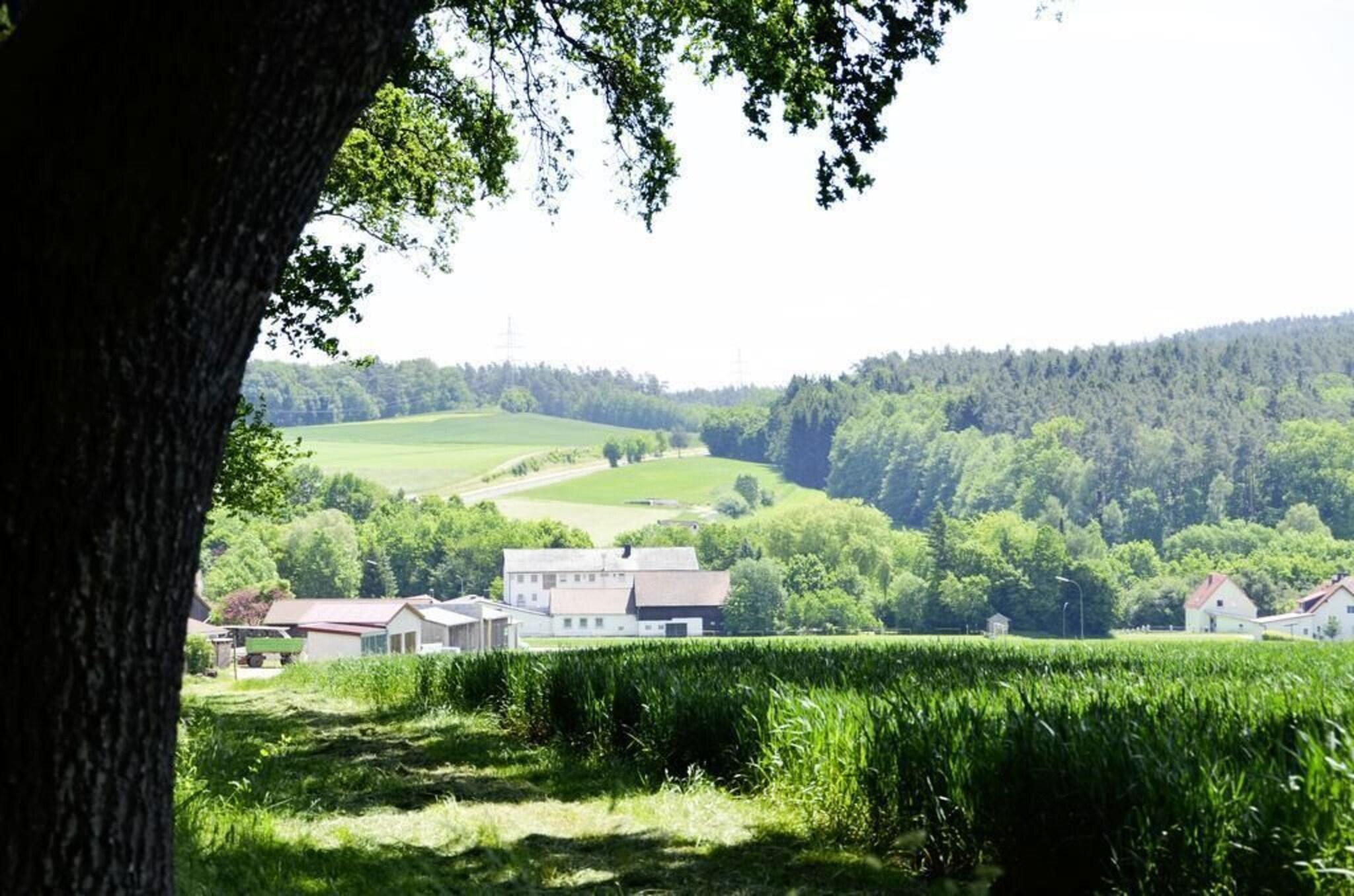 Vista Exterior Hotel-Gasthof Am Forsthof