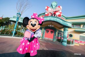 Actividad - Pasaporte de 1 día para Disneyland Tokio