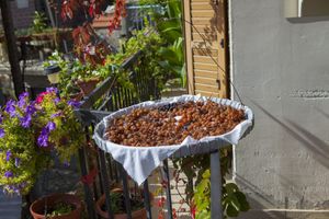 Alojamiento - Lyhnos