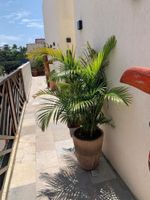 Alojamiento - Pousada Villa Peixe na Telha