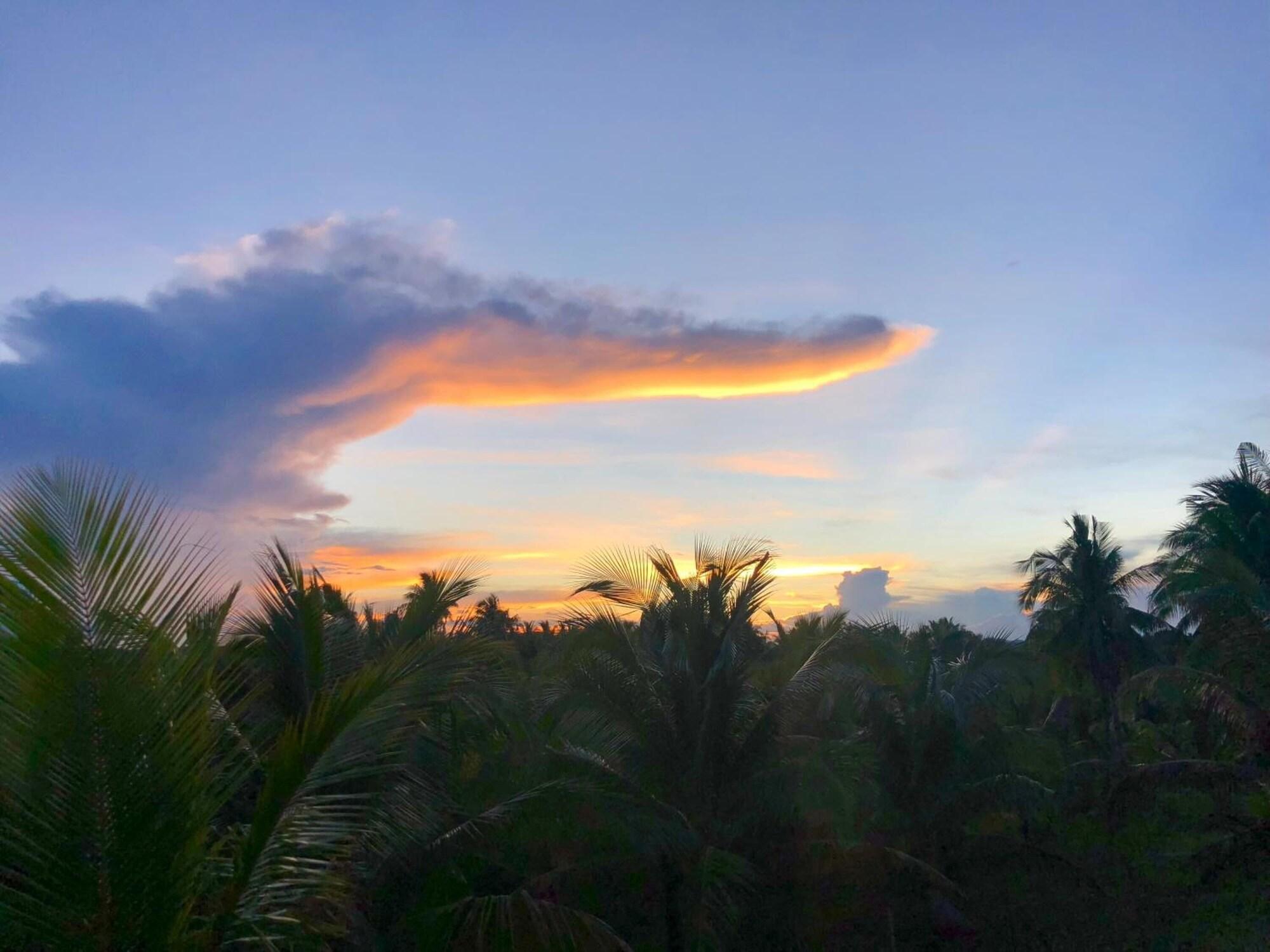 Comodidades del Alojamiento Triangle Palms Siargao