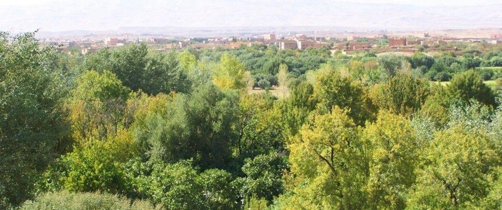 Comodidades del Alojamiento Kasbah Ait Moussa