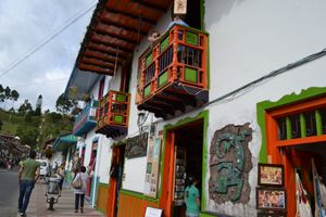 Actividad - Tour Salento-Cocora-Finlandia todo en 1