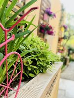 Alojamiento - Villa Bakacak - Adults Only