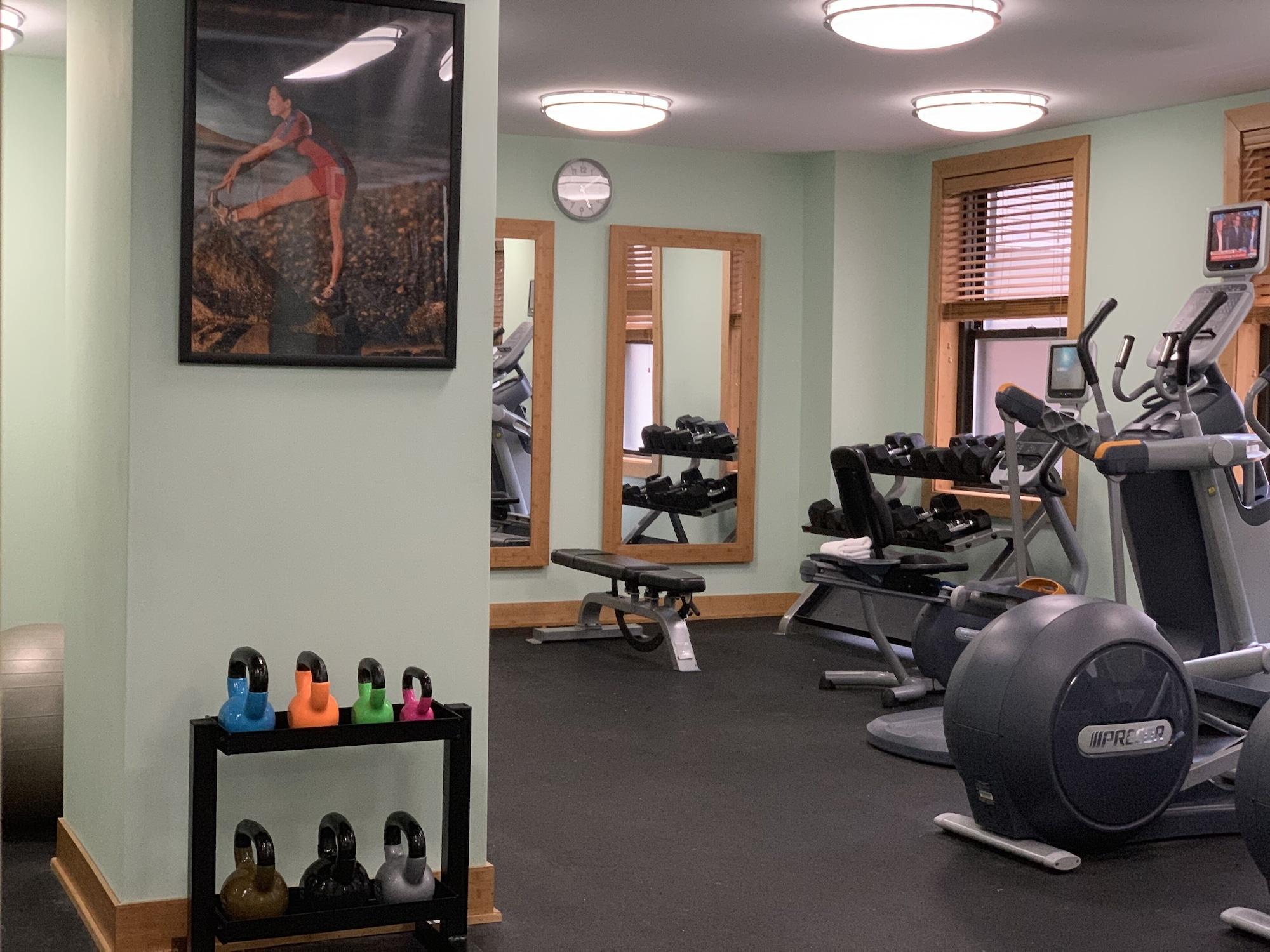 Gimnasio Millennium Hotel Knickerbocker Chicago