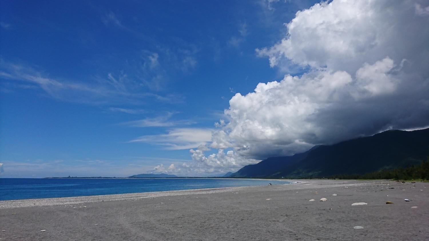 Playa Flower and Green Collection