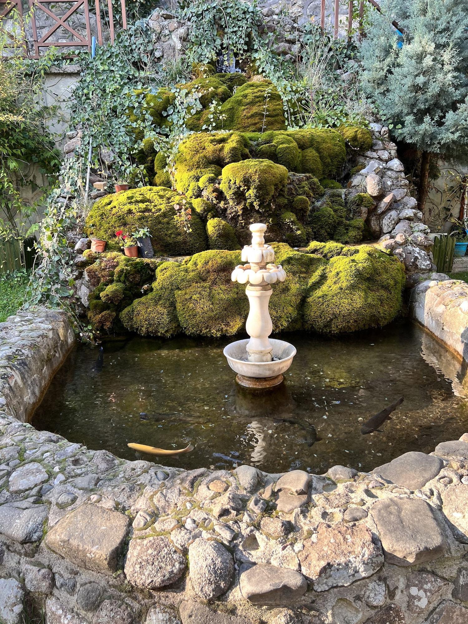 Vista Exterior Abant Dort Mevsim Konagi