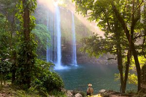 Actividad - Tour Palenque, Cascadas de Agua Azul y Misol Ha