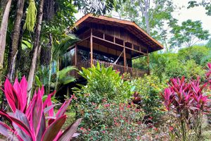 Alojamiento - Hotel Heliconias Nature Inn & Hot Springs