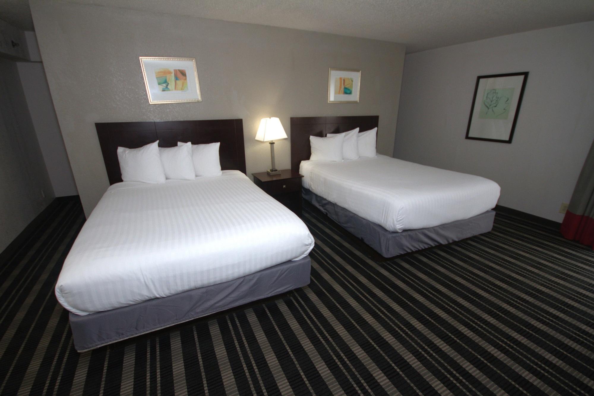 Habitación Atrium Hotel and Suites DFW Airport South
