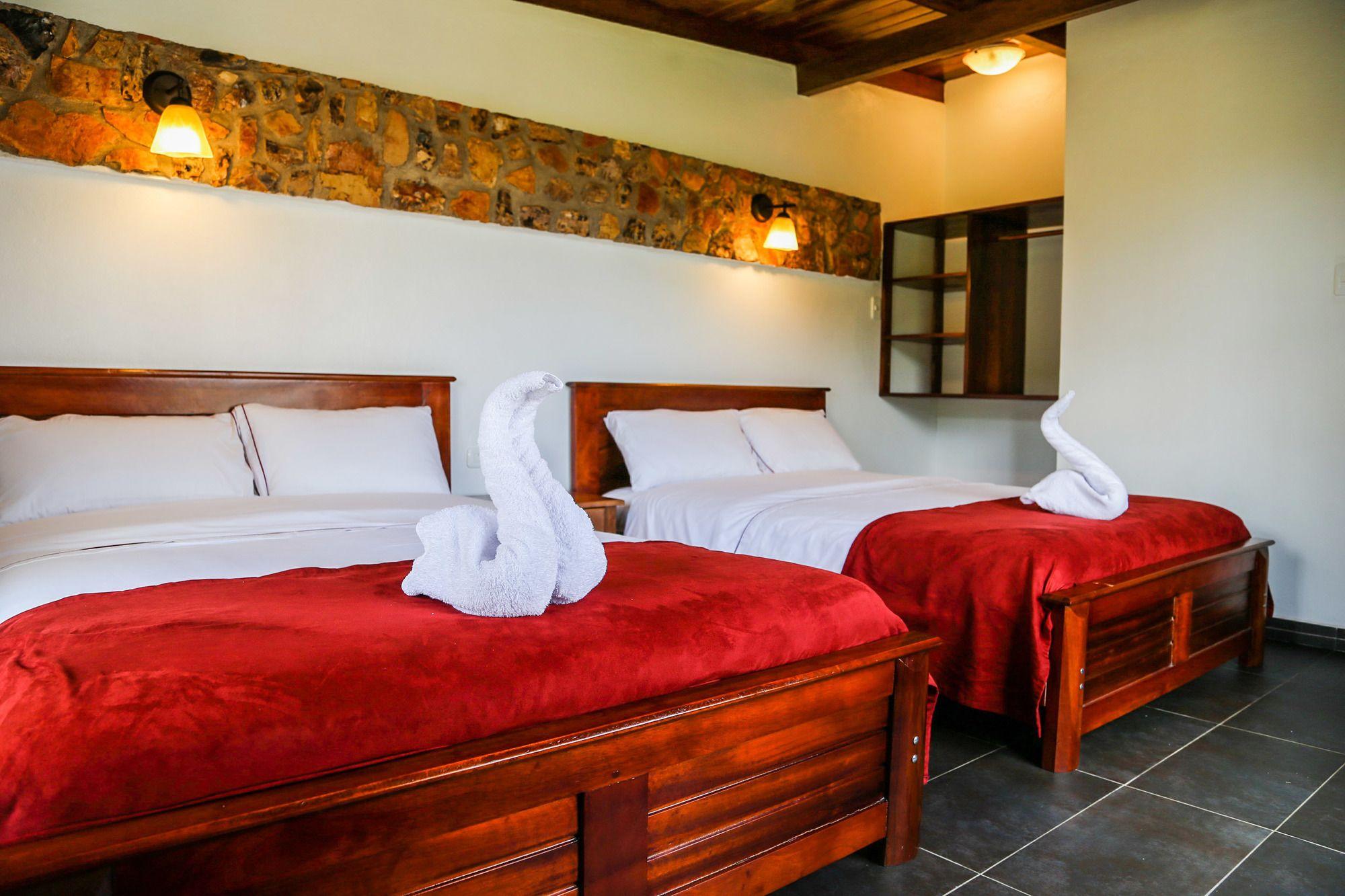 Habitación Coffee Lodge Cristal Glamping & Spa