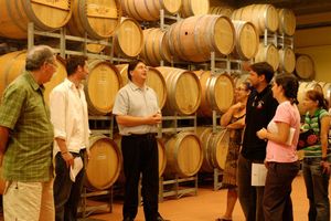 Actividad - Excursión de un día completo a Hunter Valley y cata de vinos en una bodega boutique