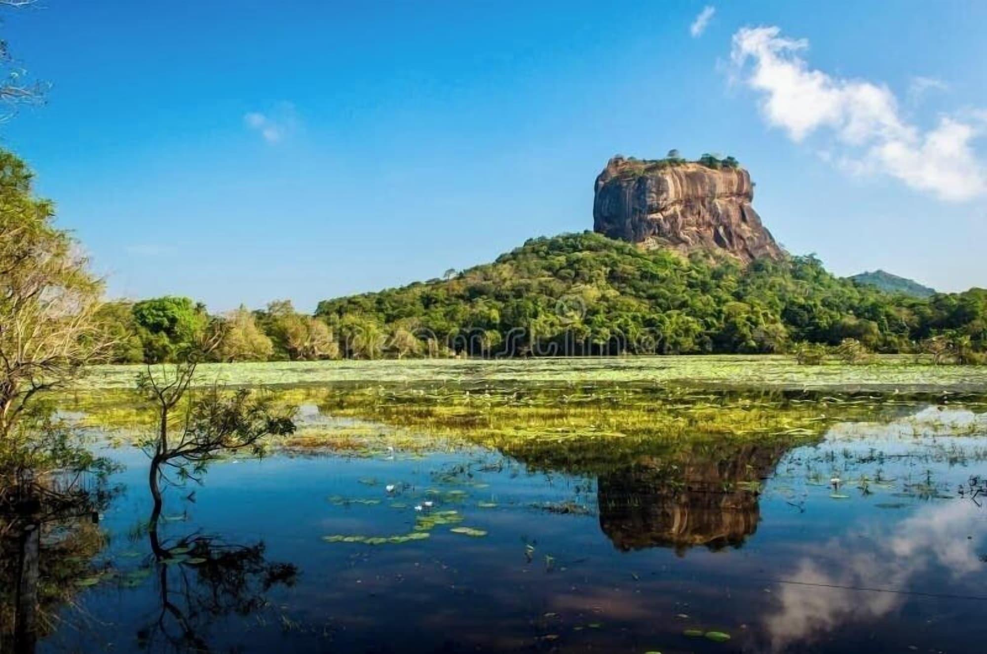 Varios Lions Gate Homestay