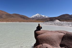 Actividad - Lagunas Altiplanicas, Piedras Rojas y Laguna Chaxa