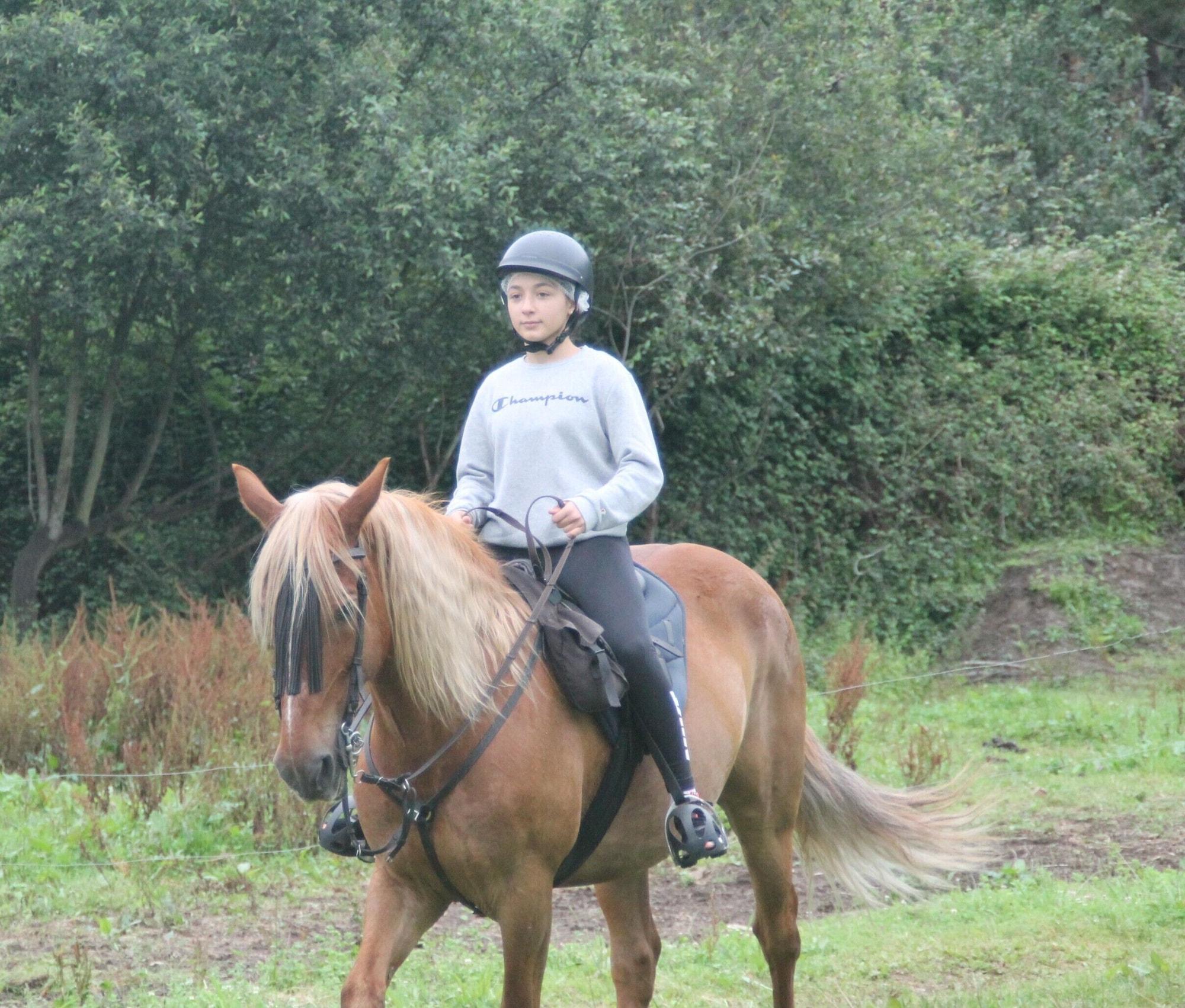 Instalaciones Recreativas LAS MIMOSAS DEL NALON