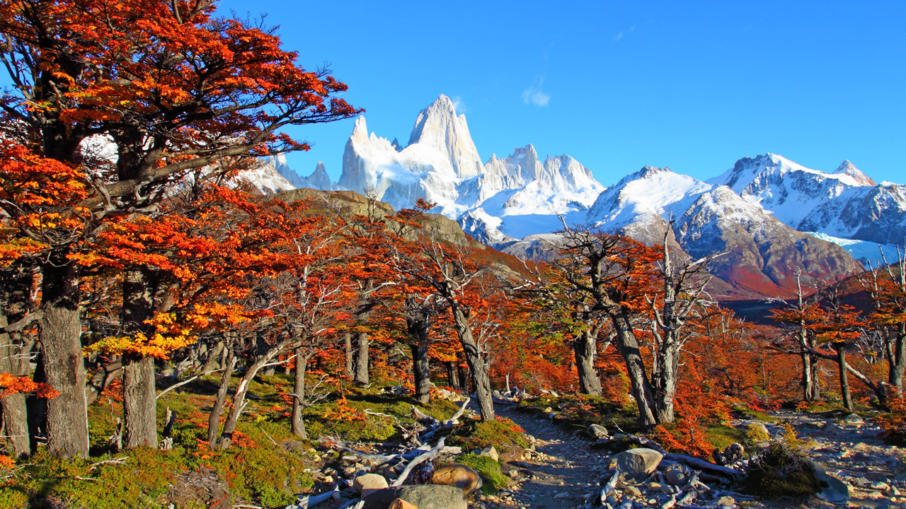 El Calafate