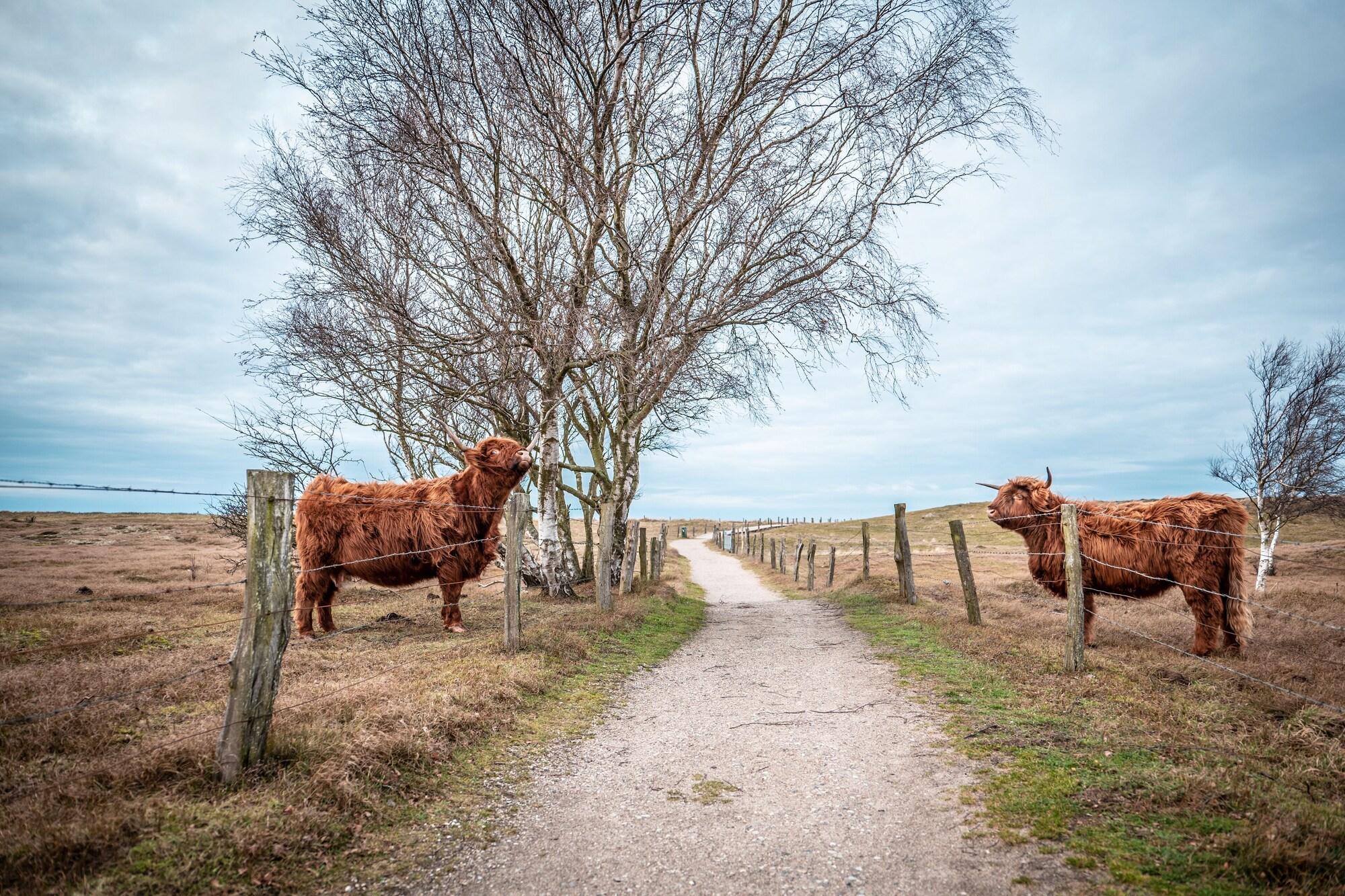 Playa Strandhotel Weissenhäuser Strand