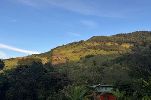 Alojamiento - Toucanet Lodge