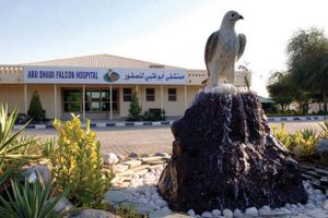 Actividad - Visita al Hospital Falcon de Abu Dabi