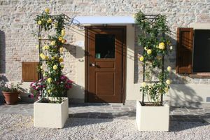 Alojamiento - B&B La Fenice