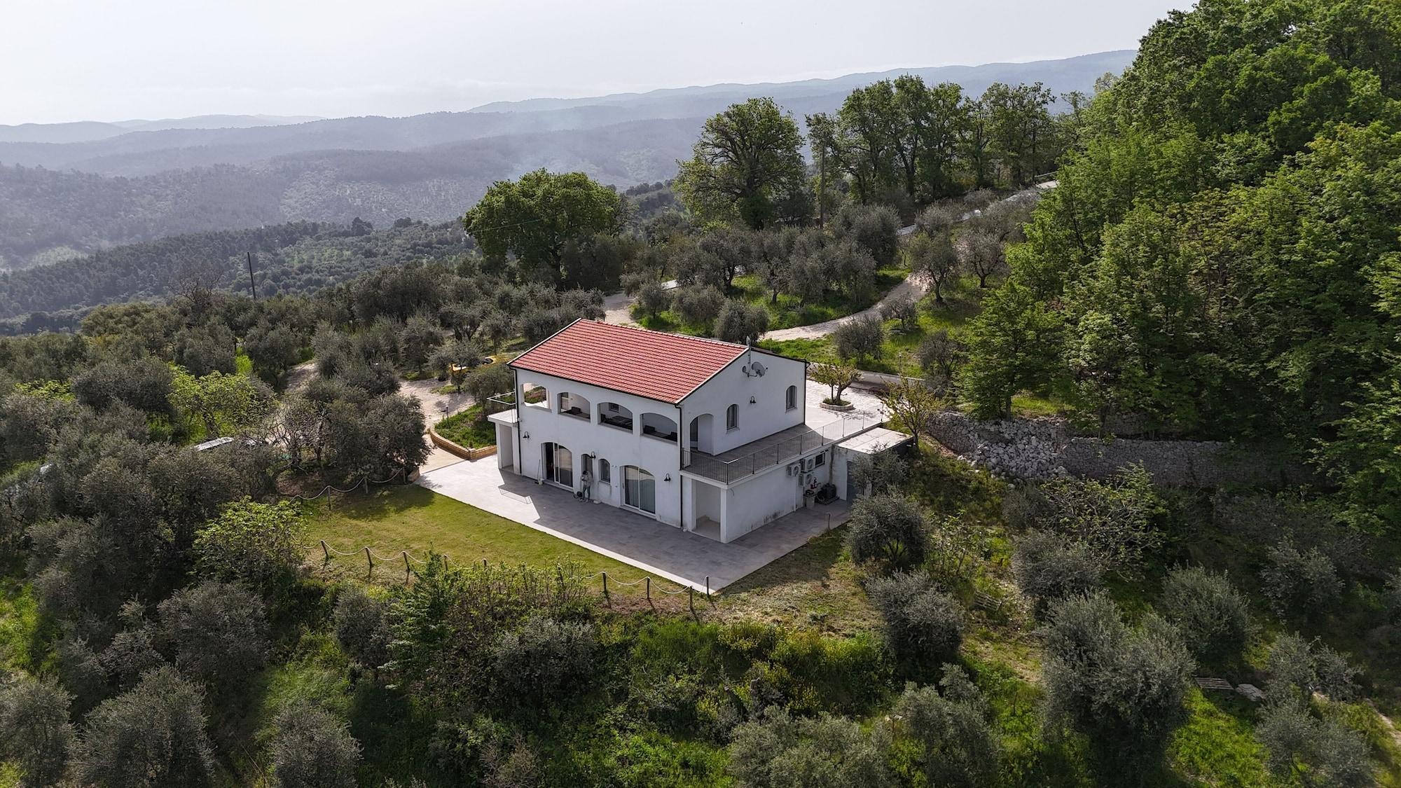 Varios Verde Matematico