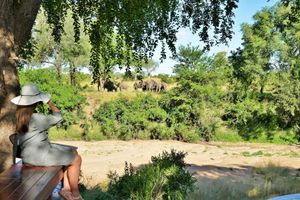 Alojamiento - Imbali Safari Lodge
