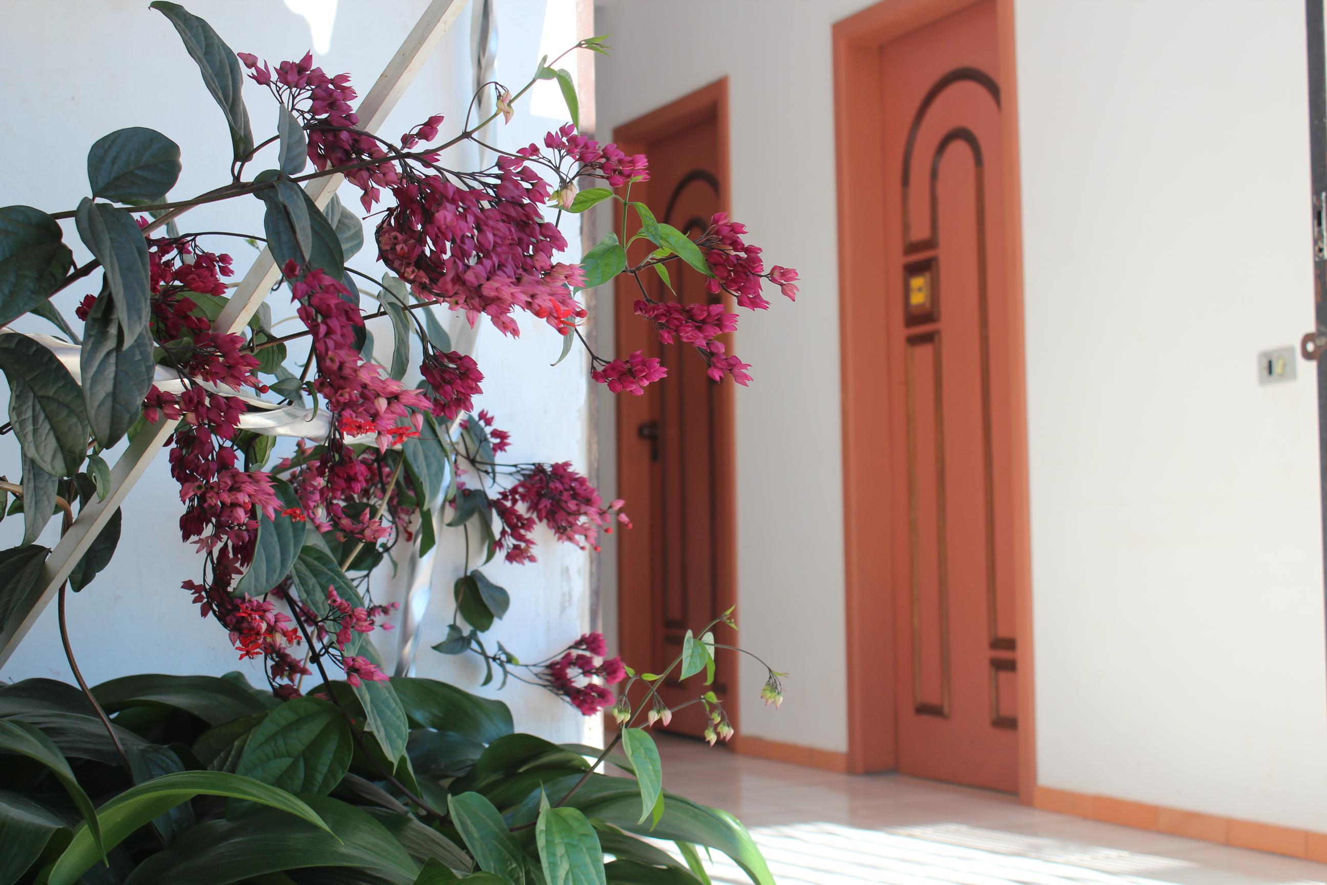 Vista Lobby Pousada Foz Igu