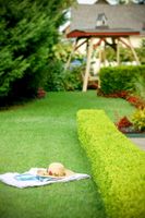 Alojamiento - The Empress of Little Rock