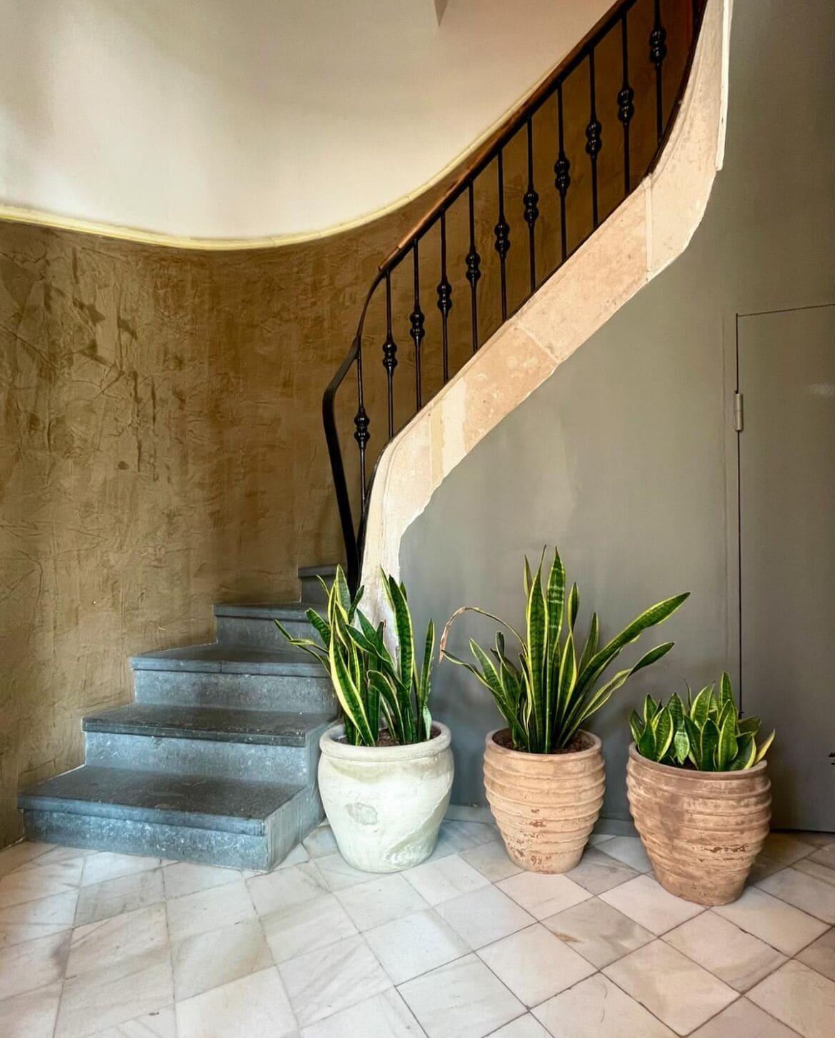 Vista Lobby Porxos Garden