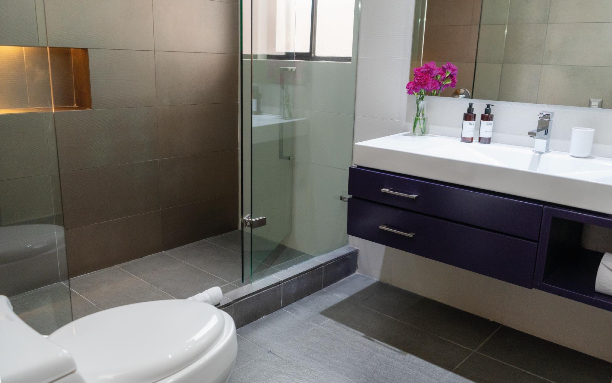 Baño Central Apartamentos