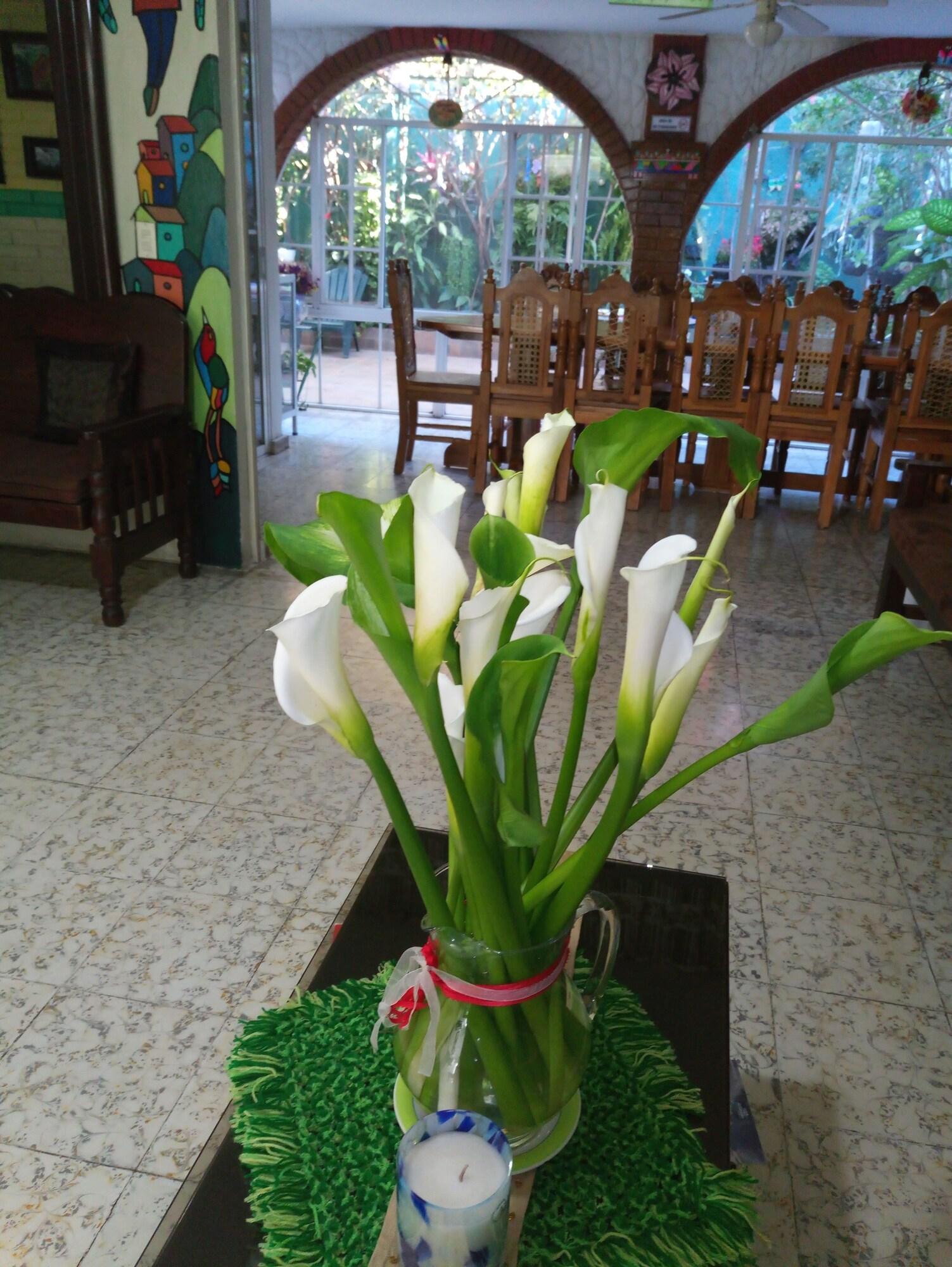 Vista Lobby Hotel Oasis