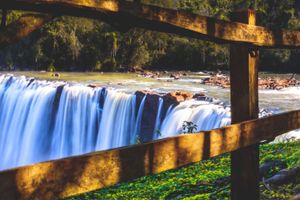 Actividad - Excursión al Parque Nacional Ñacunday