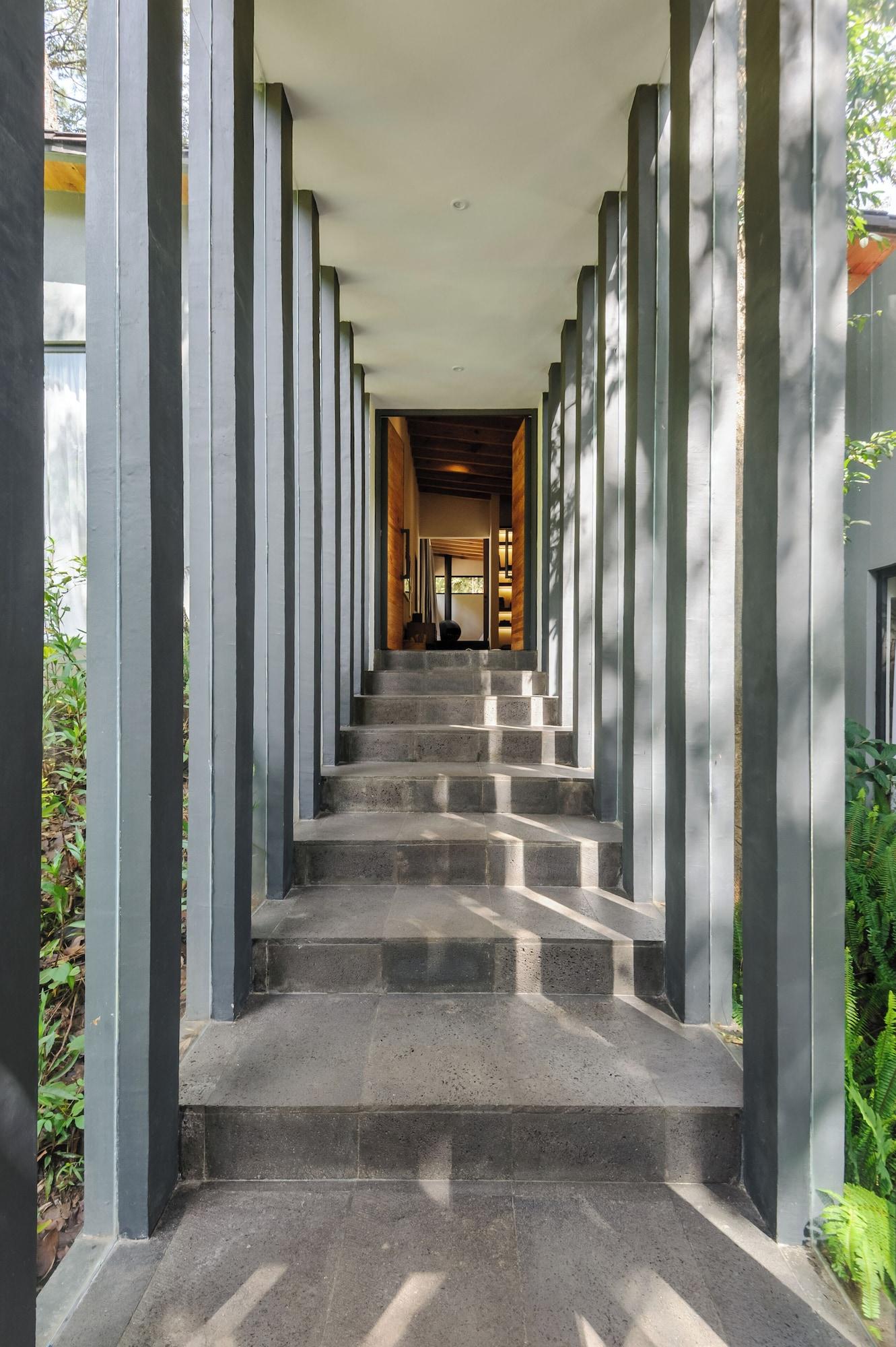 Varios Casa Helechos Amazing Architechture