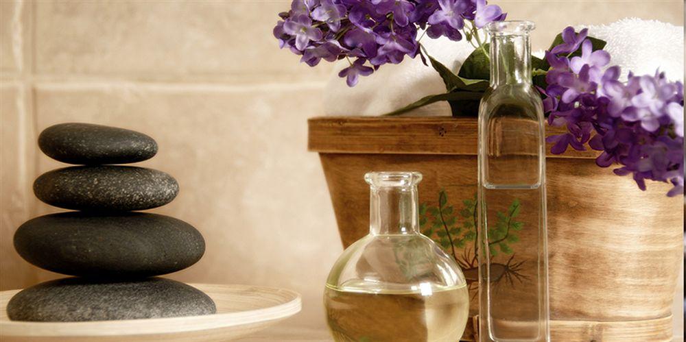 Spa Apple Country Resorts - Manali