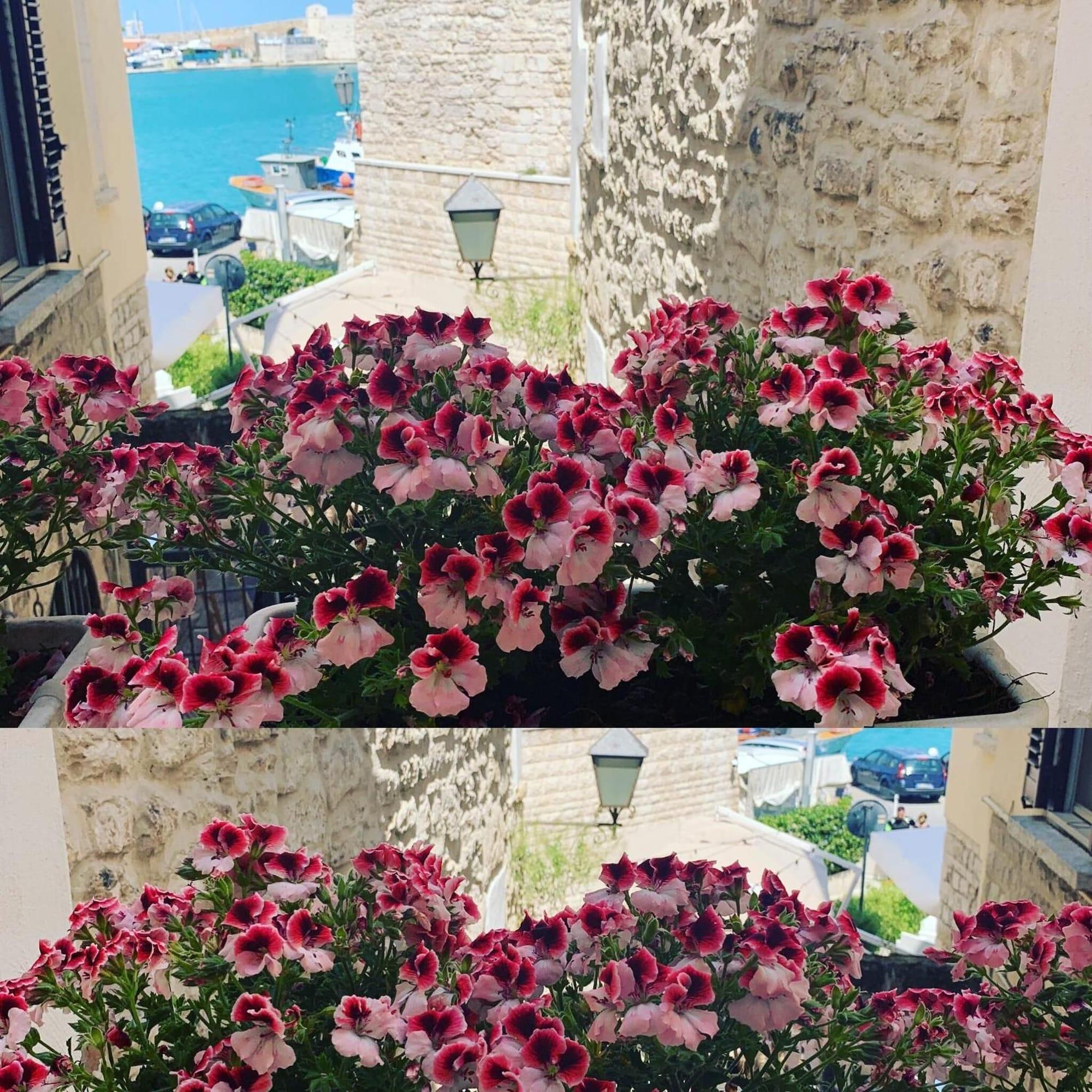 Comodidades del Alojamiento La Banchina Holiday Rooms