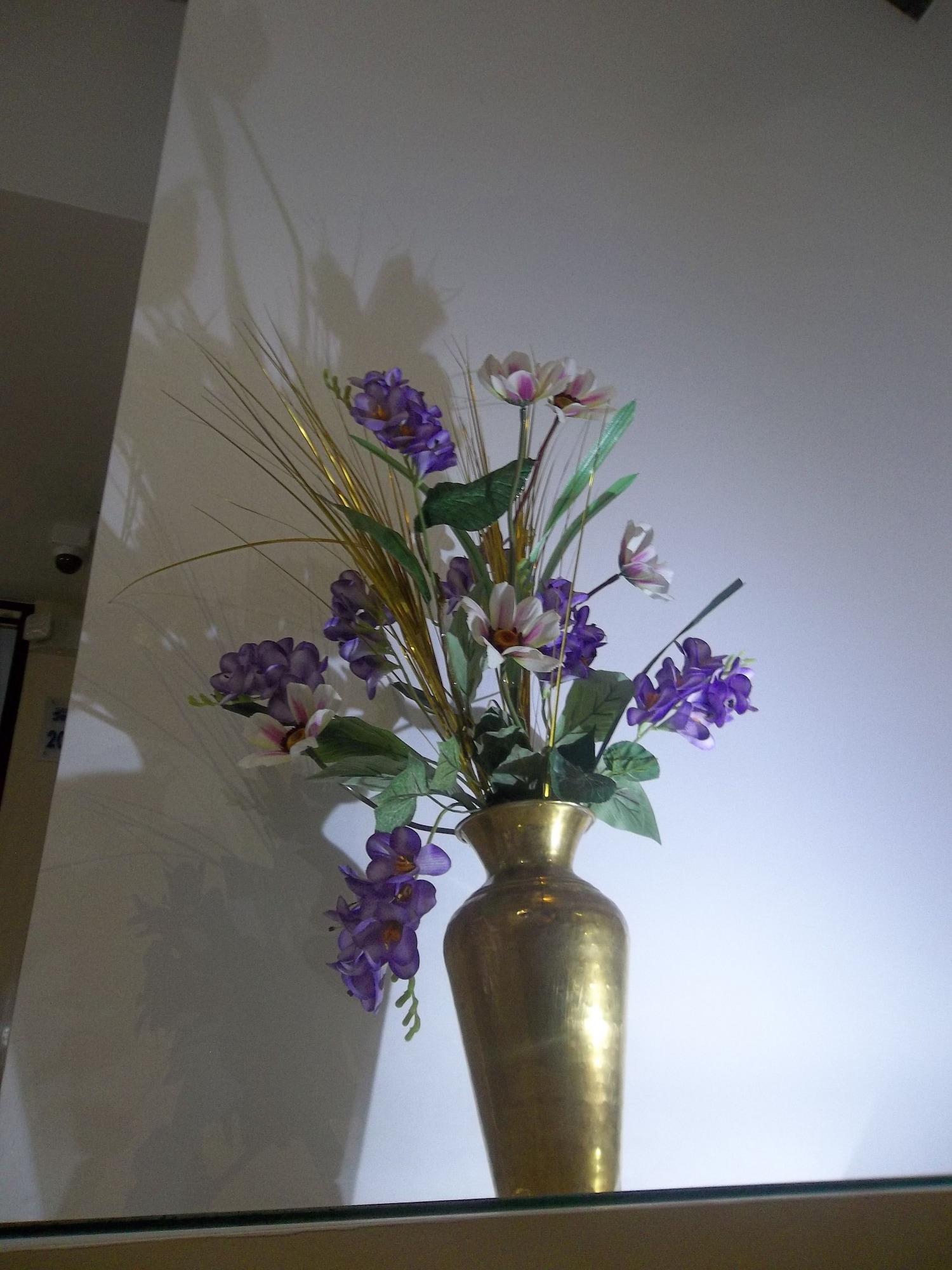 Playa Casa JAC Hospedaje