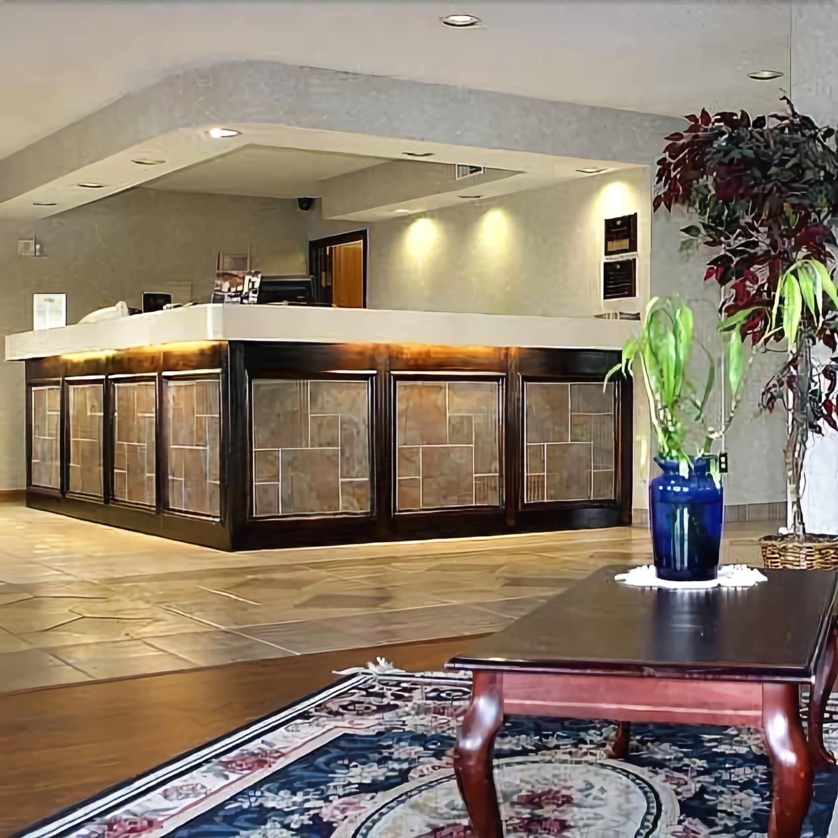 Vista Lobby American Inn and Suites Ionia