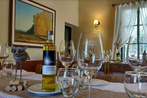 Actividad - Entre vides y copas