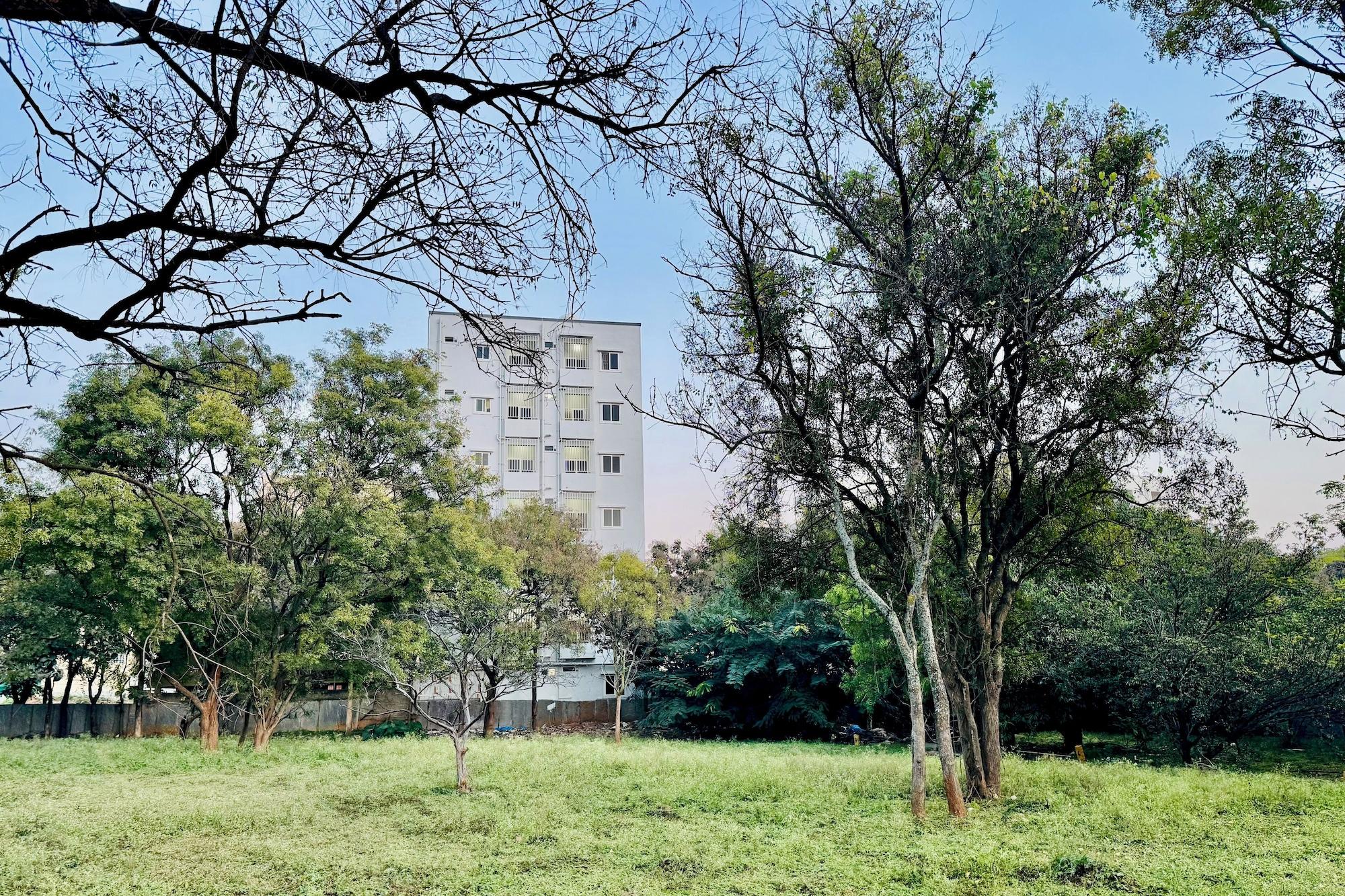 Varios Truelife Whitefield