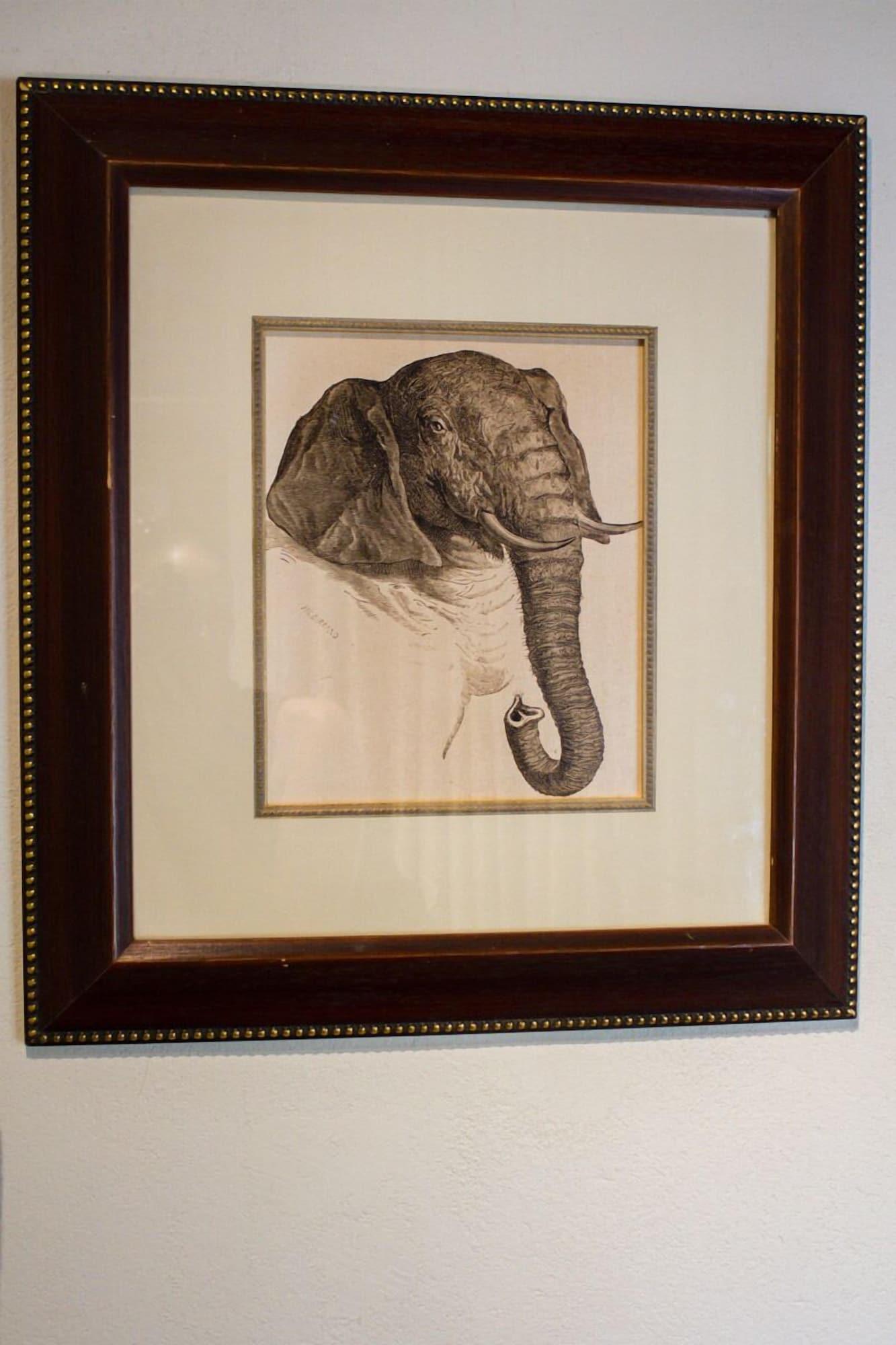 Vista Lobby Nguni Lodge