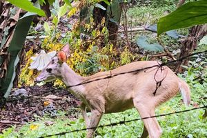 Alquiler Vacacional - Enchanted Apartment