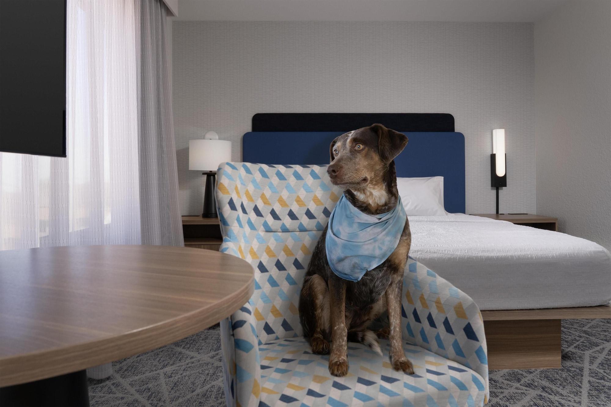 Habitación Hampton Inn & Suites Roswell