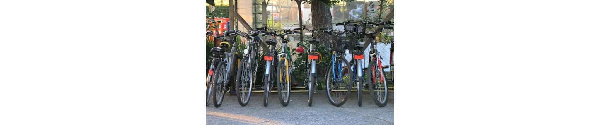 Instalaciones Recreativas Due Pavoni